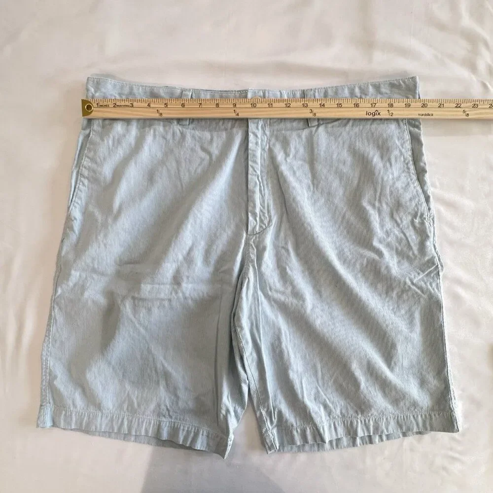 Banana Republic Mens 38 Baby Blue Striped Cotton Classic Fit Flat Front Shorts